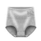 Heather Gray Shelliy Printed Cotton Brief Front — Mid-Rise