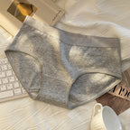 Gray Shelliy Brief Front — Cotton-Gusset