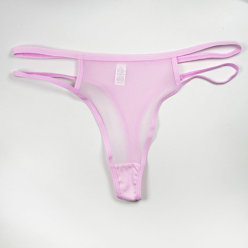 Pink Shelliy Sheer Mesh Bikini Brief — Denver Minimalist Lingerie