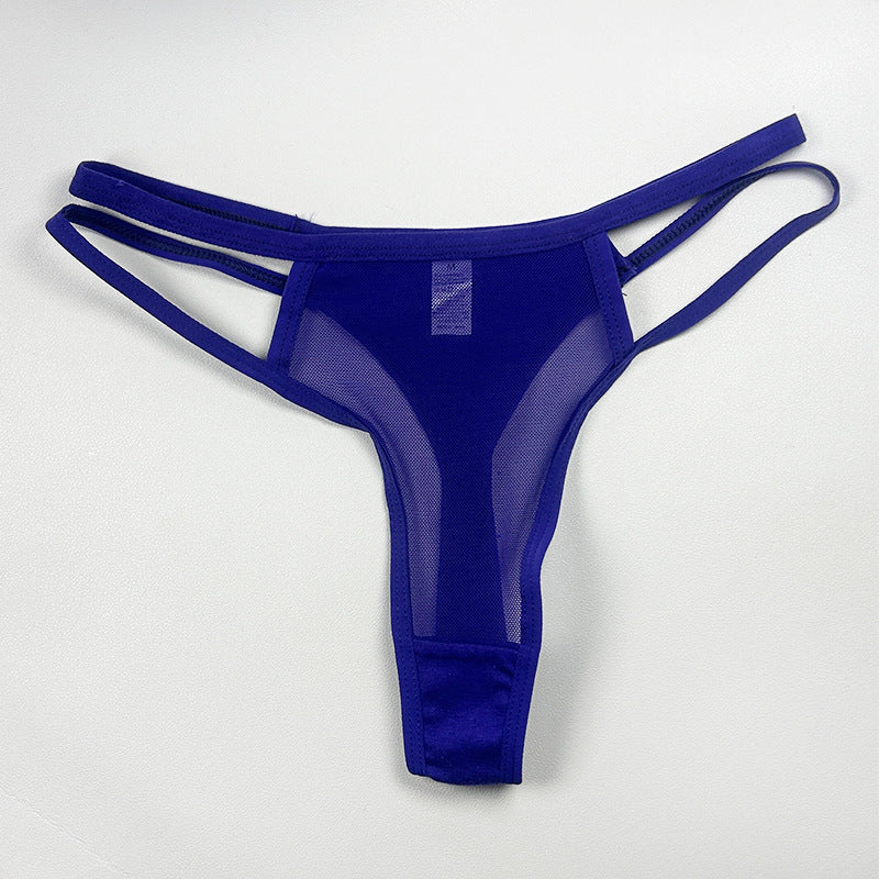 Royal Blue Shelliy Sheer Mesh Bikini Brief