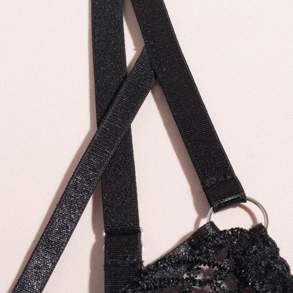 Shelliy Dark Romance Embroidered Sheer Harness Garter Set