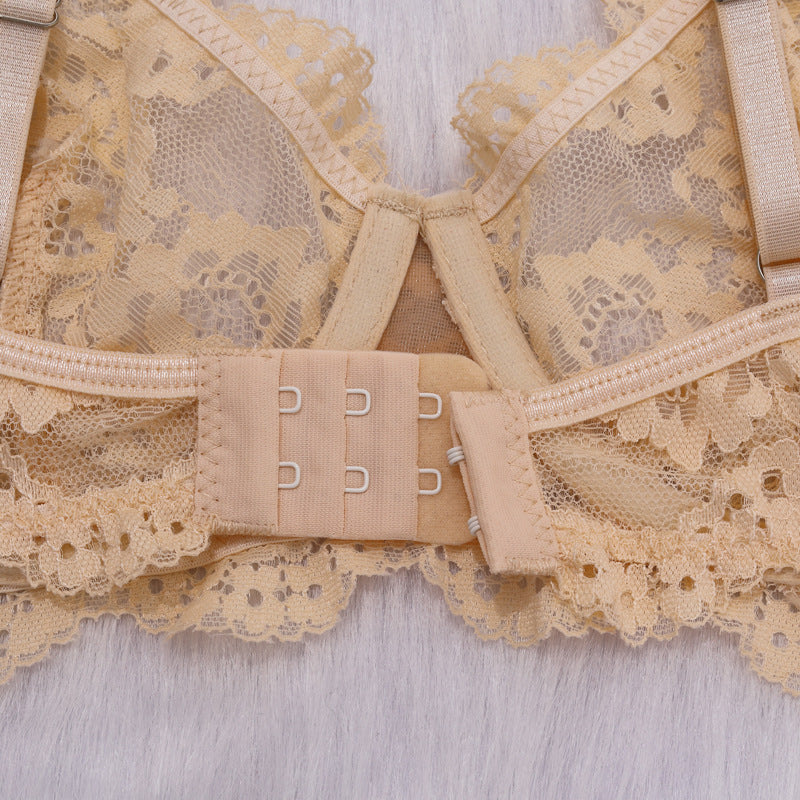 Shelliy French Wired Lace 2-Piece Set