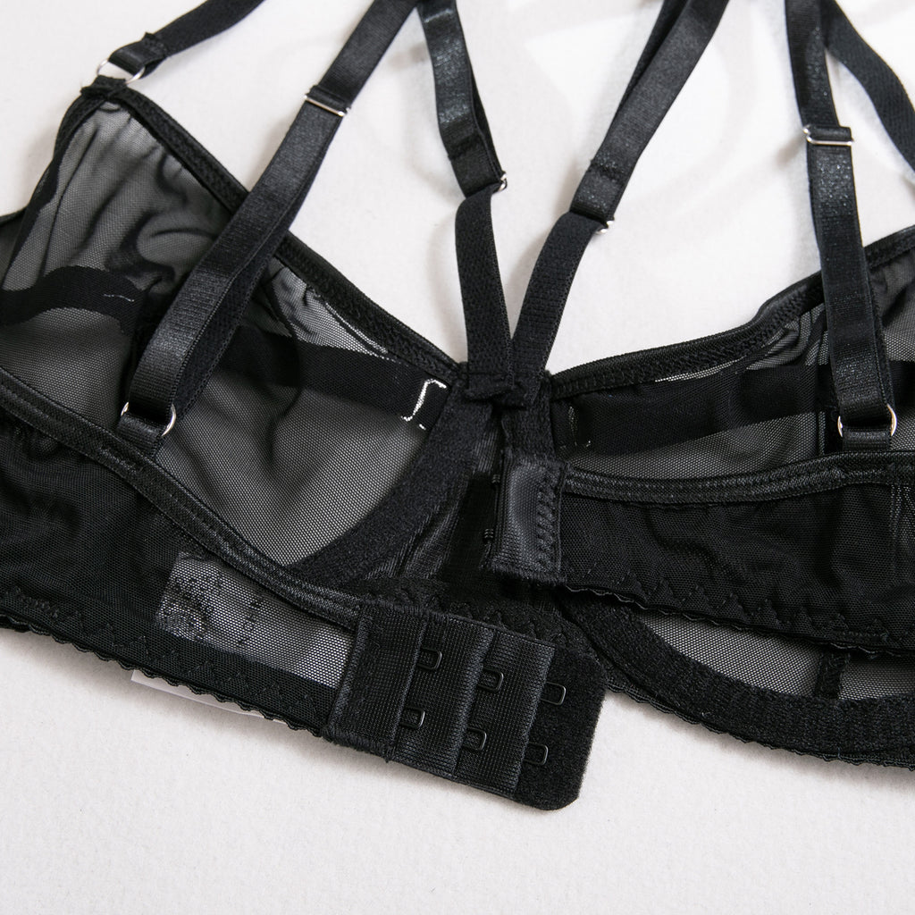 Shelliy Dark Romance Sheer Cutout Harness Set