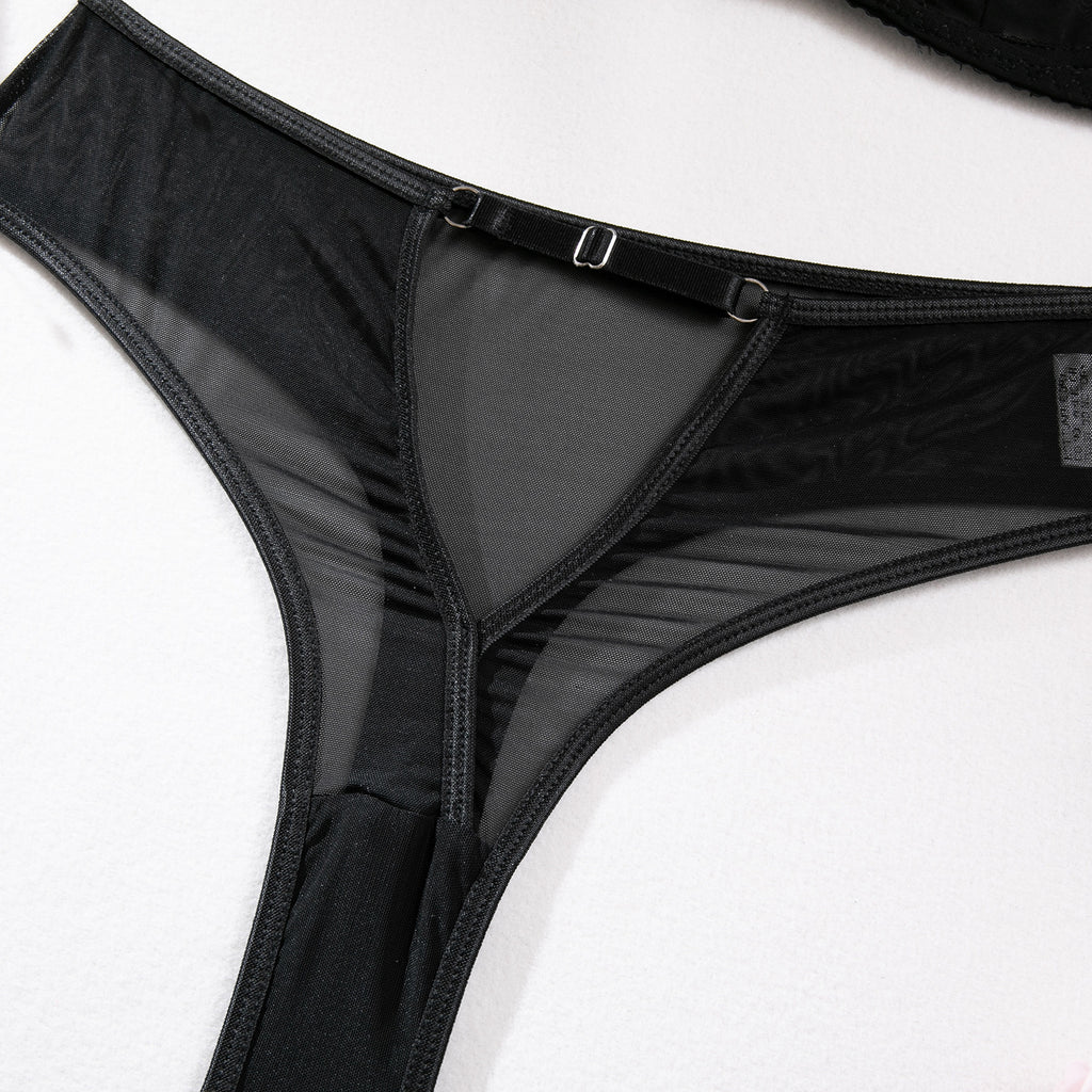 Shelliy Dark Romance Sheer Cutout Harness Set